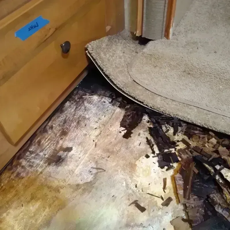 Best Wood Floor Water Damage Service in Winfield, IL